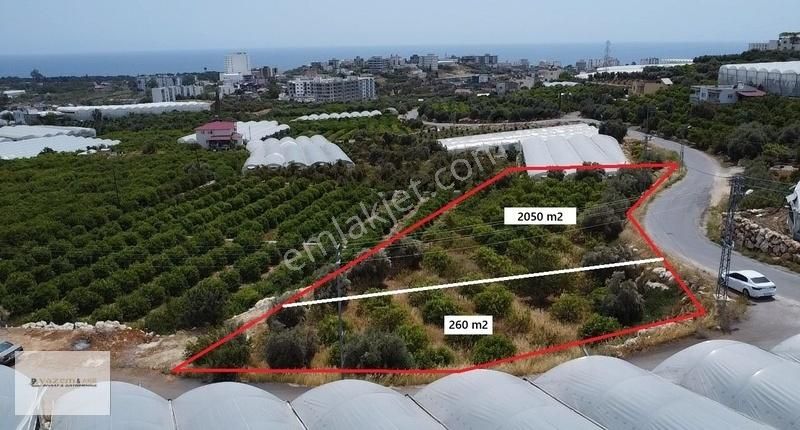 Erdemli Kocahasanlı Full Deniz Manzaralı 2310 M2 Satılık