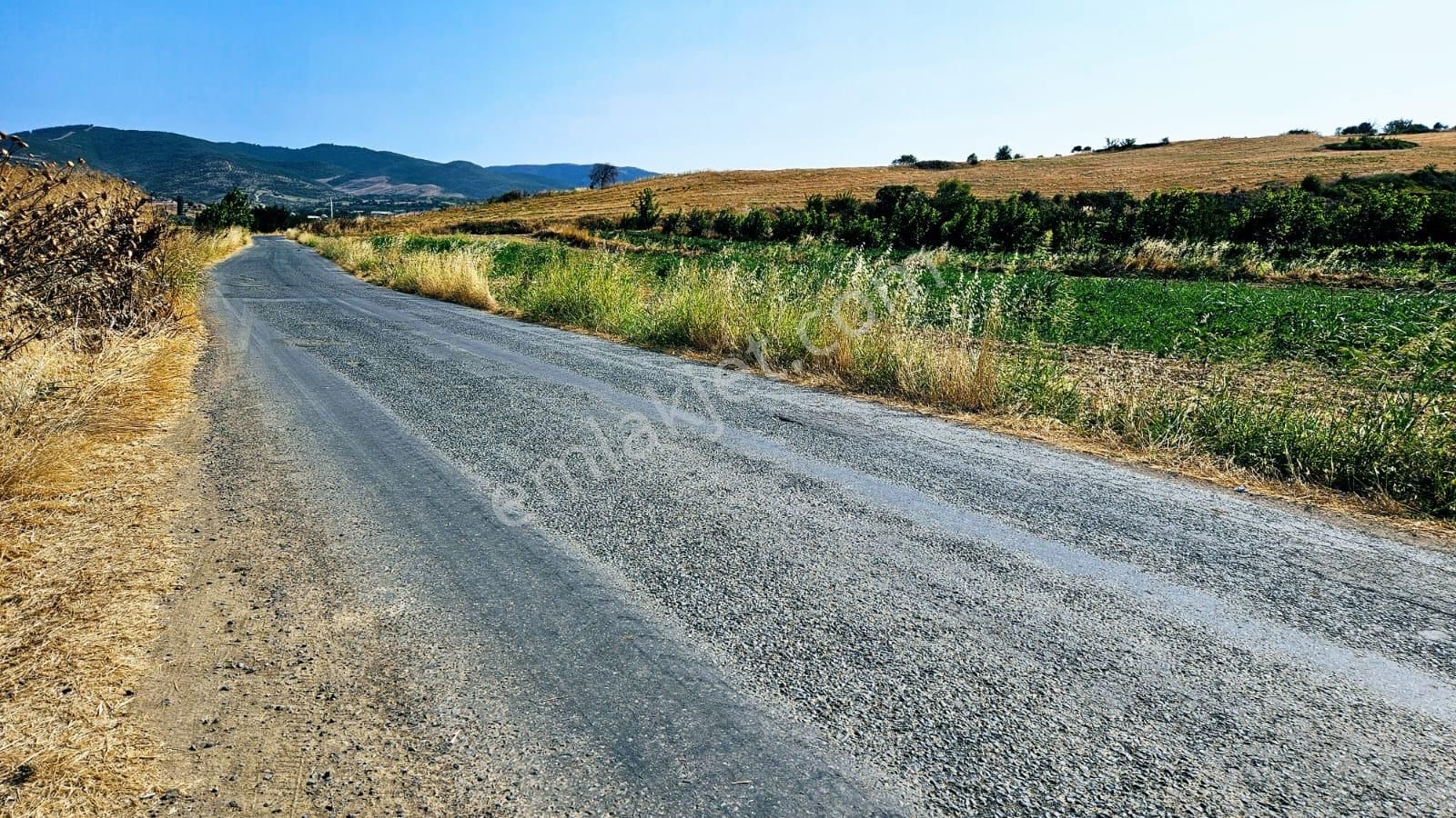 Acil Satılık Tekirdağ Naip Mahallesinde Anayol Cepheli Tıny House Koyabilceğin Fırsat Yer