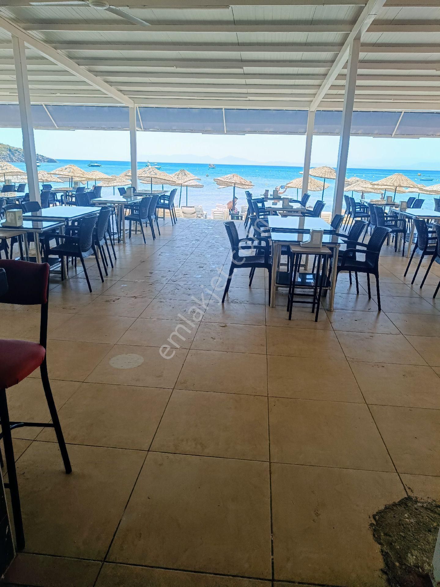 Ayvalık Sarımsaklı'da Plaja Sıfır Kahvaltılı