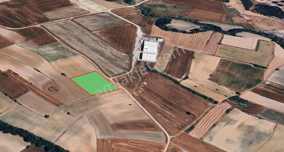 Tekirdağ Kapaklı Karaağaç' Ta Satılık 8000 M2 Sanayi Arsası - Görsel 7