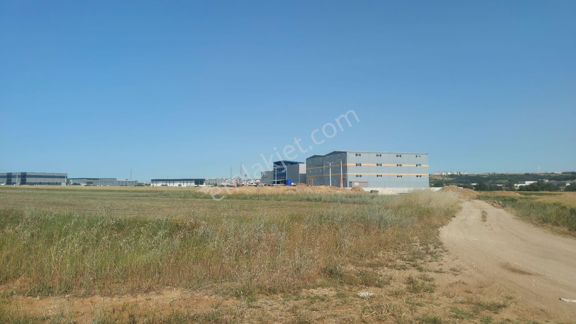 Tekirdağ Kapaklı Karaağaç' Ta Satılık 8000 M2 Sanayi Arsası