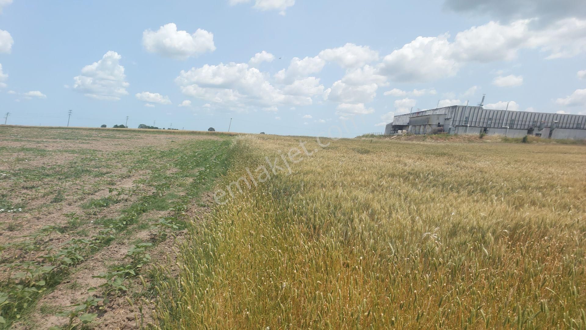 Tekirdağ Ergene Ulaş'ta Satılık 15600 M2 Sanayi Arsası - Görsel 3