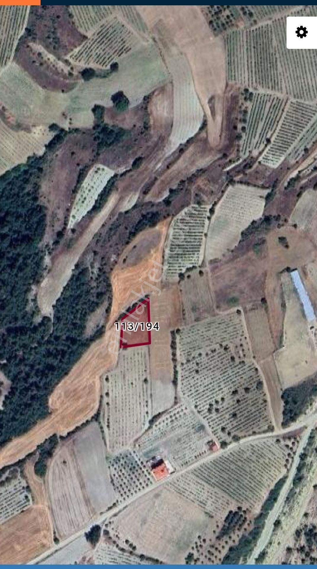 Satılık Tarla