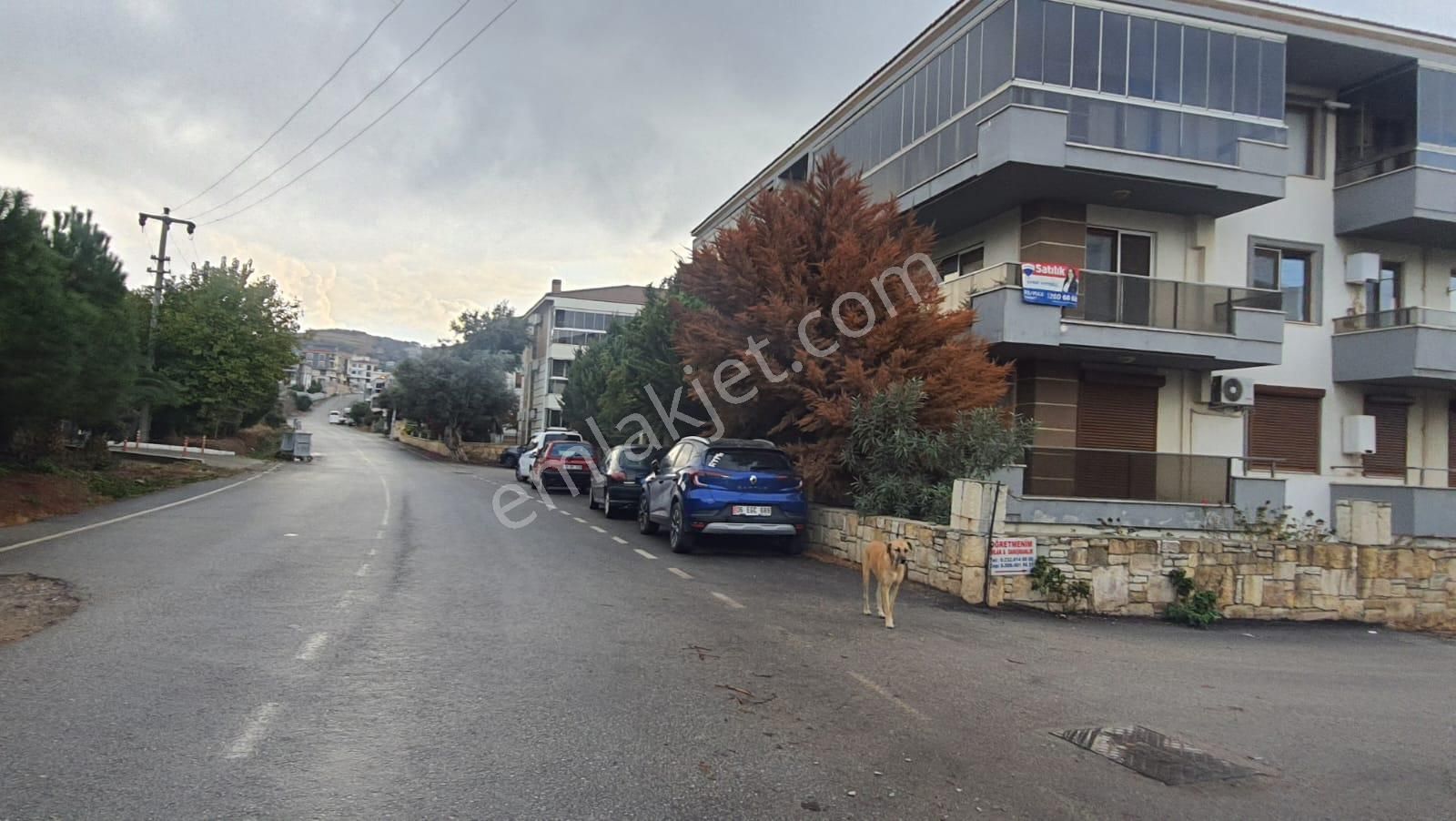 Yeni Foçada Geniş Bahçeli Cadde Üzerinde Satılık 3+1 Daire
