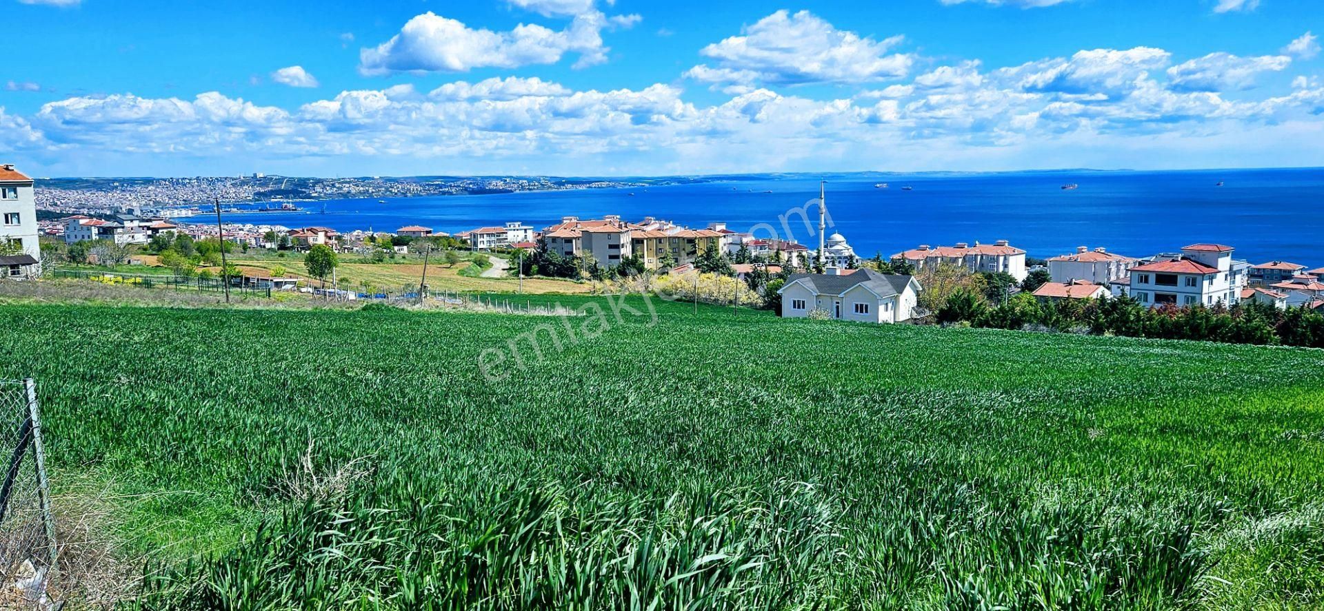 Tekirdağ Barbaros Ta Full Deniz Manzaralı 45 Dairelik Toplu Konut Yapmaya Uygun Fırsat Arazi