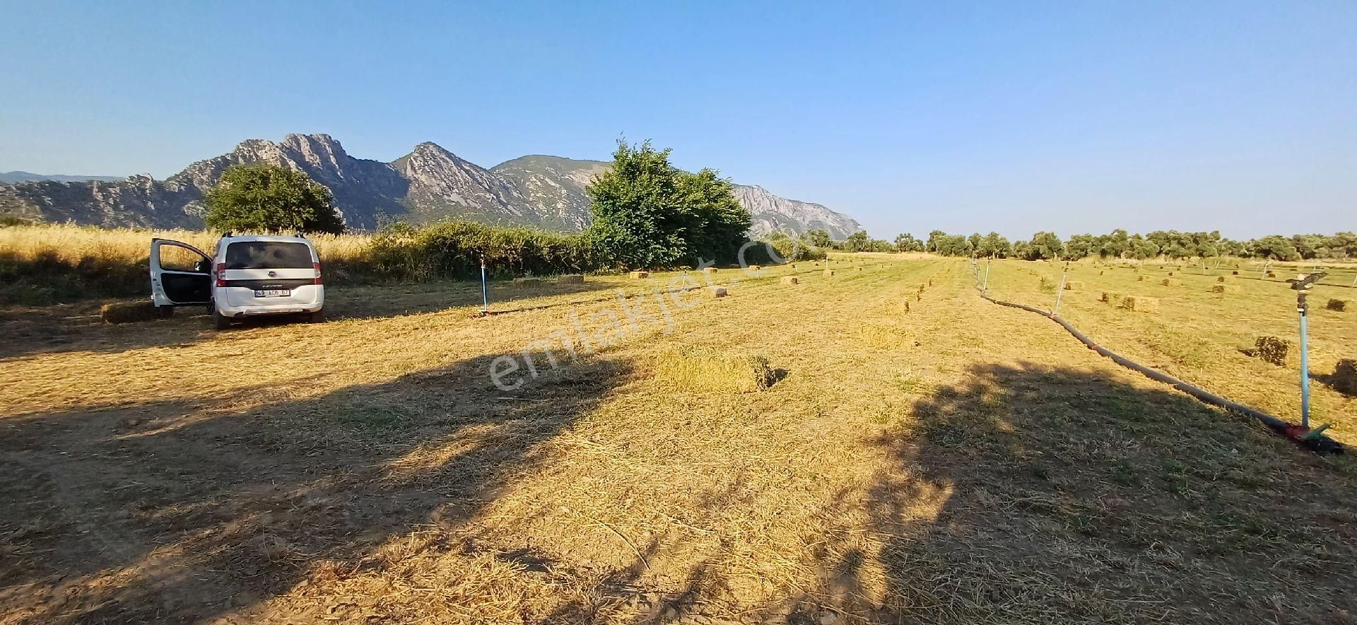 Gökova Körfezi Nin Cenneti Milas Ören De Satılı Tarla - Görsel 6