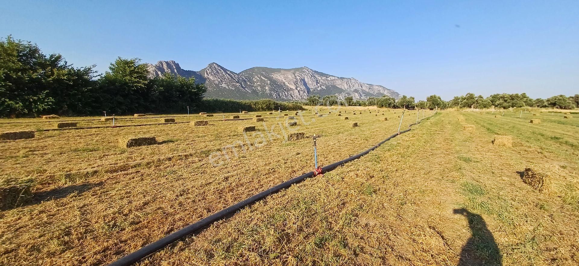 Gökova Körfezi Nin Cenneti Milas Ören De Satılı Tarla - Görsel 4