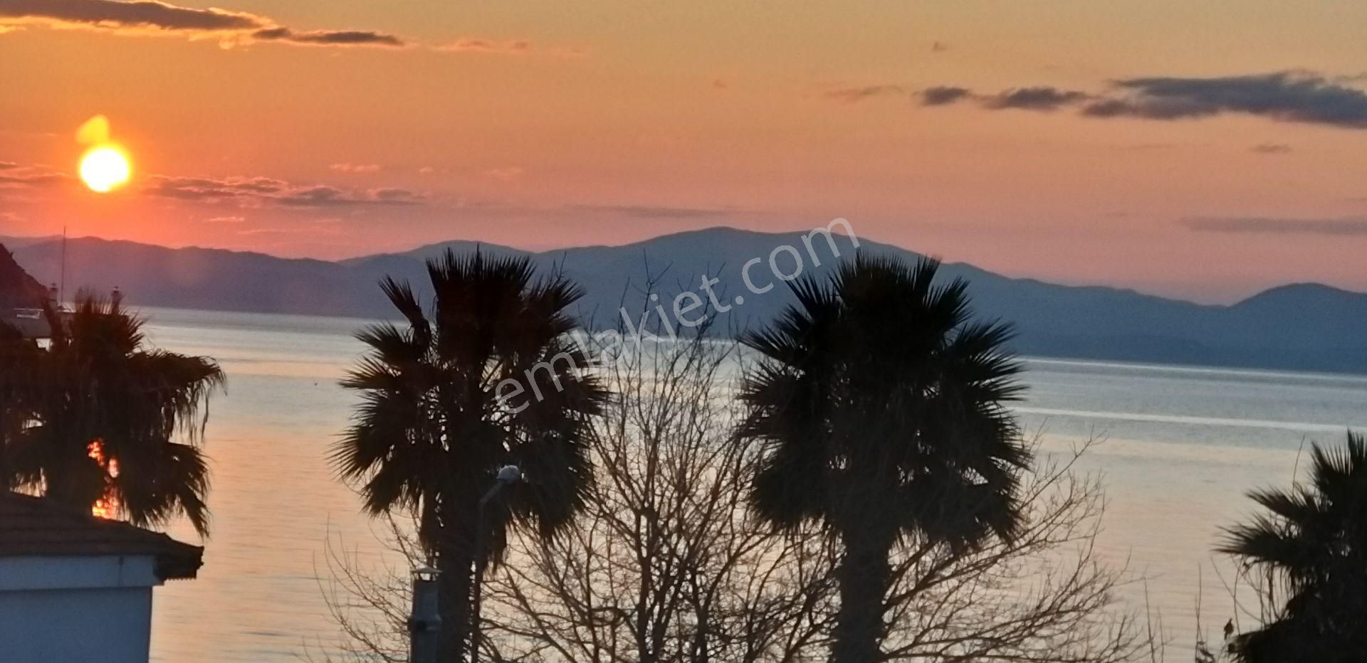 Gökova Körfezi Nin Cenneti Milas Ören De Satılı Tarla - Görsel 17