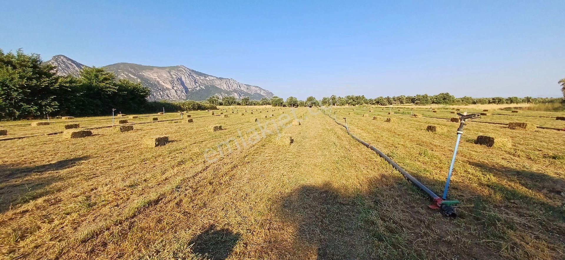 Gökova Körfezi Nin Cenneti Milas Ören De Satılı Tarla - Görsel 7