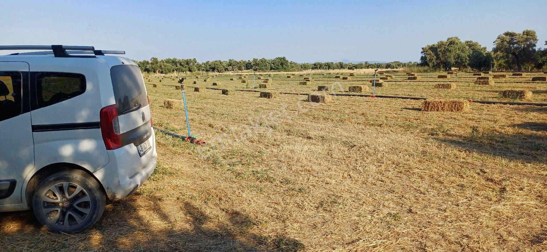Gökova Körfezi Nin Cenneti Milas Ören De Satılı Tarla - Görsel 10