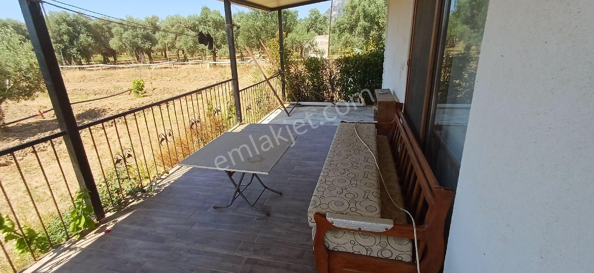 Muğla Milas Ören De Satılık Çiftlik Evi Ve Arazisi 5800 M2 - Görsel 2