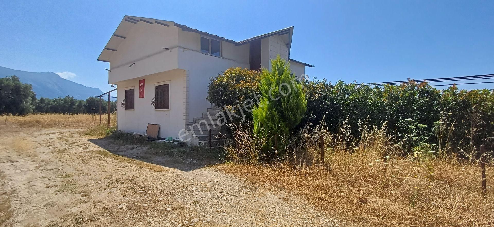 Muğla Milas Ören De Satılık Çiftlik Evi Ve Arazisi 5800 M2 - Görsel 4