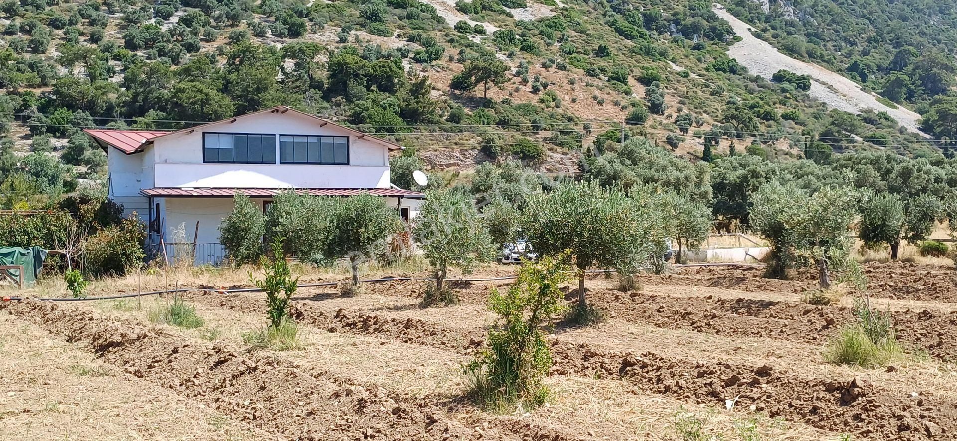 Muğla Milas Ören De Satılık Çiftlik Evi Ve Arazisi 5800 M2 - Görsel 11