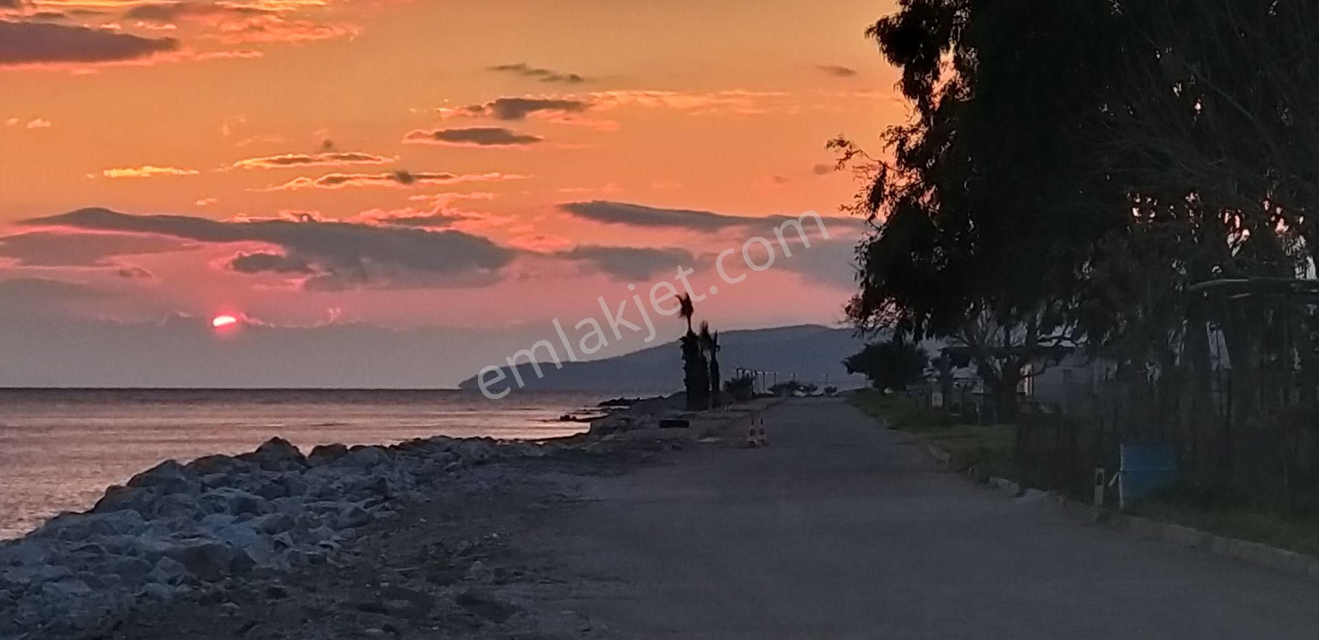 Muğla Milas Ören De Satılık Çiftlik Evi Ve Arazisi 5800 M2 - Görsel 28