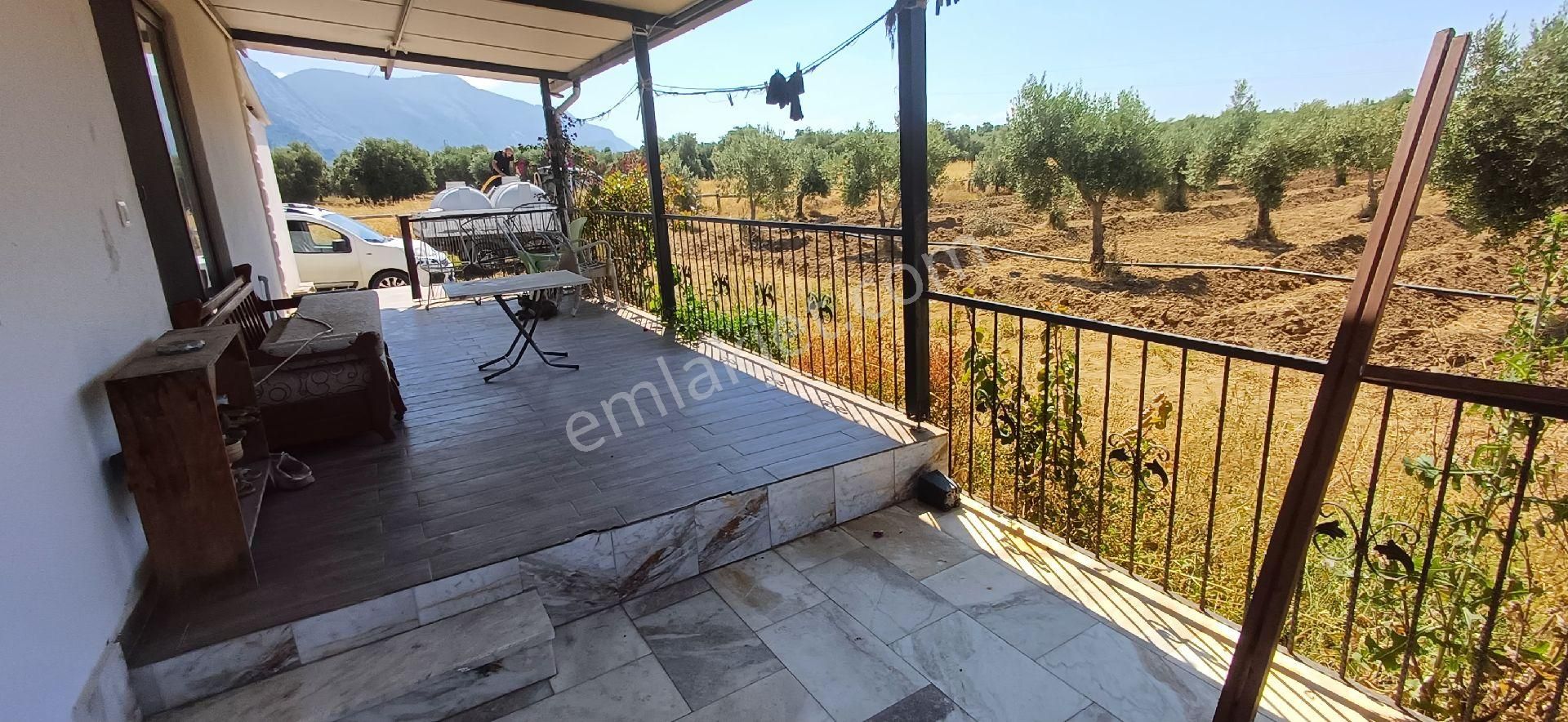 Muğla Milas Ören De Satılık Çiftlik Evi Ve Arazisi 5800 M2 - Görsel 6