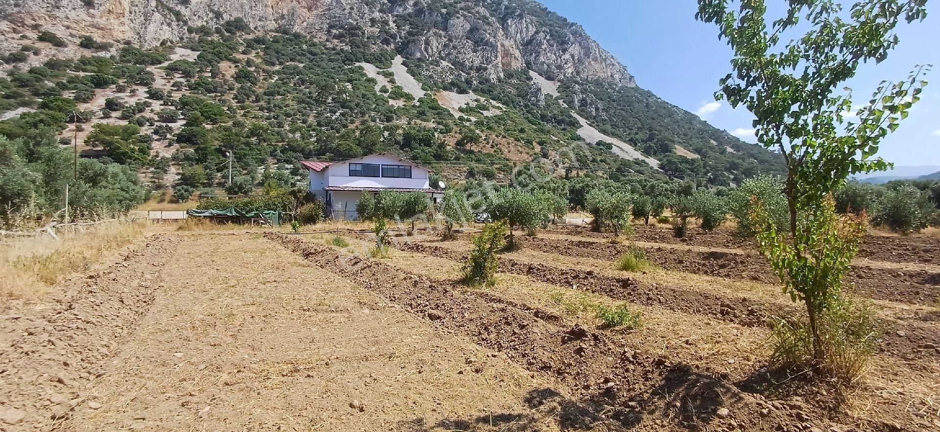 Muğla Milas Ören De Satılık Çiftlik Evi Ve Arazisi 5800 M2 - Görsel 10