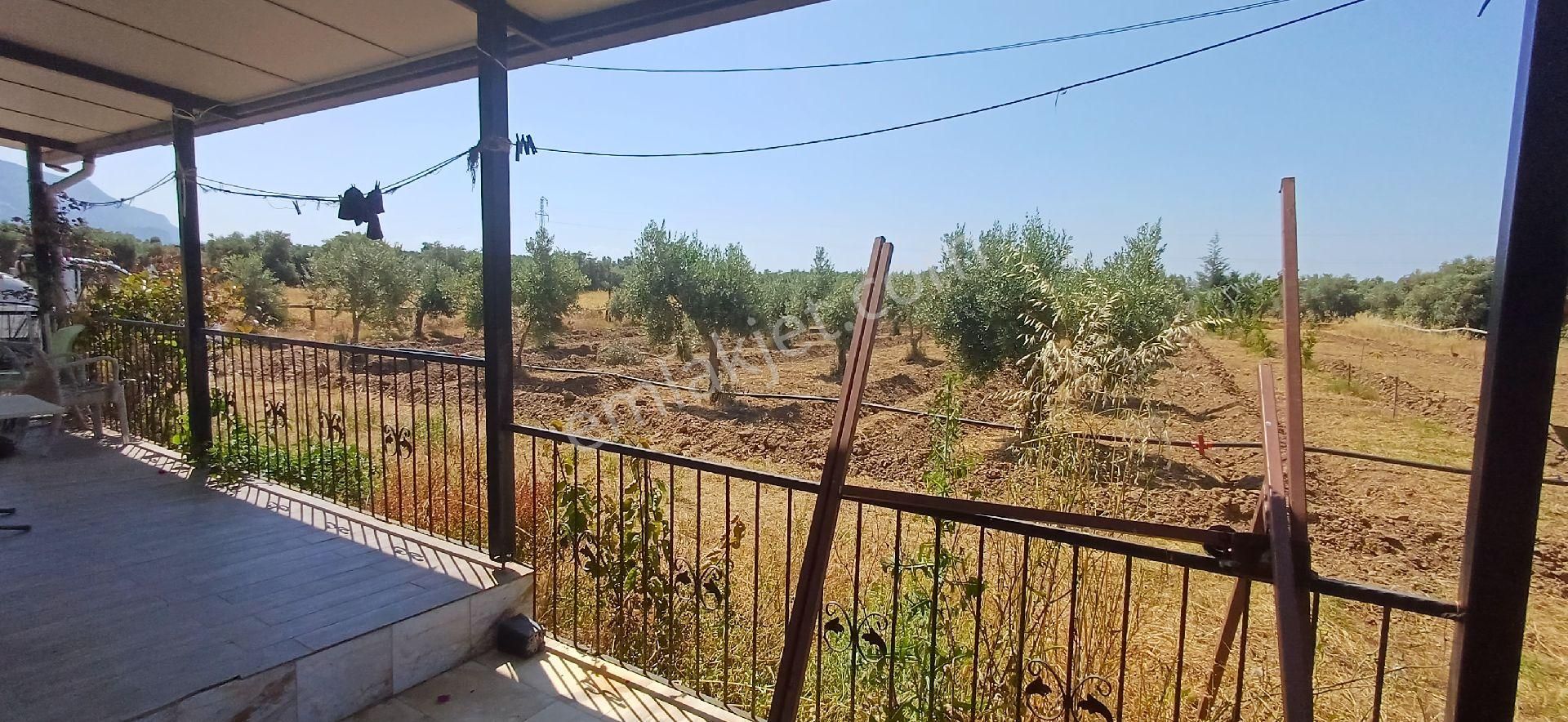 Muğla Milas Ören De Satılık Çiftlik Evi Ve Arazisi 5800 M2 - Görsel 5