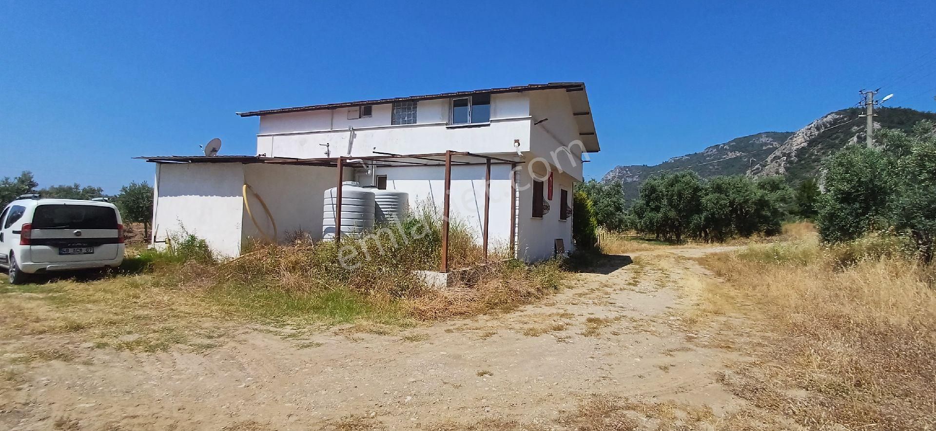 Muğla Milas Ören De Satılık Çiftlik Evi Ve Arazisi 5800 M2 - Görsel 7