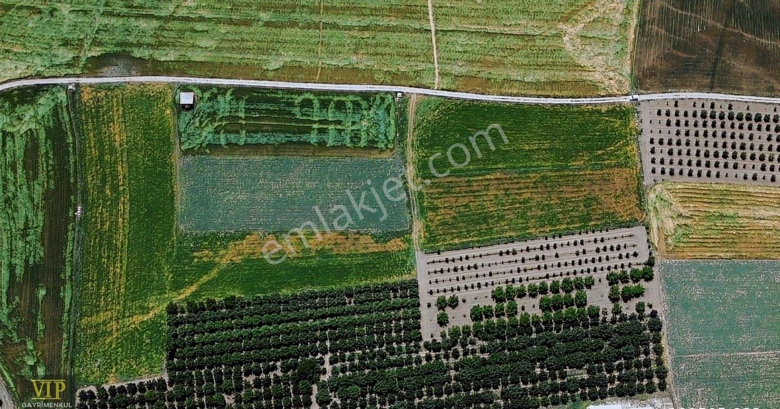Vip Gayrimenkul'den Tavullar Mah. 16.207m² Satılık Tarla - Görsel 9