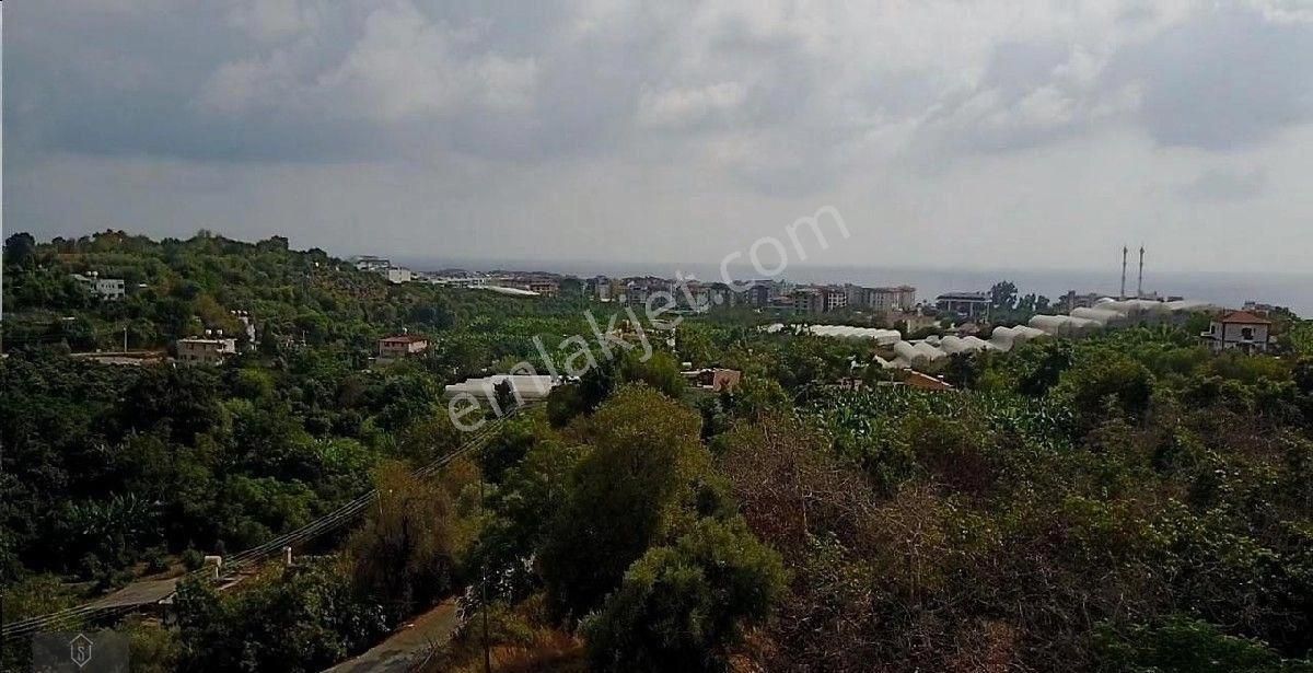 Alanya Kestel Satılık Arsa - Görsel 3