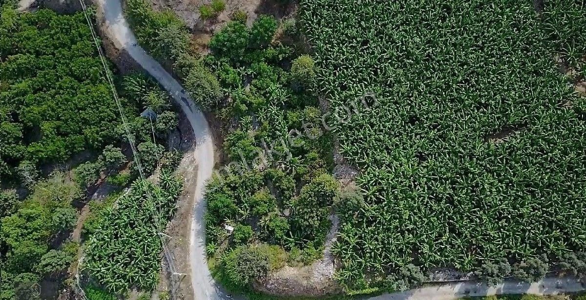 Alanya Kestel Satılık Arsa