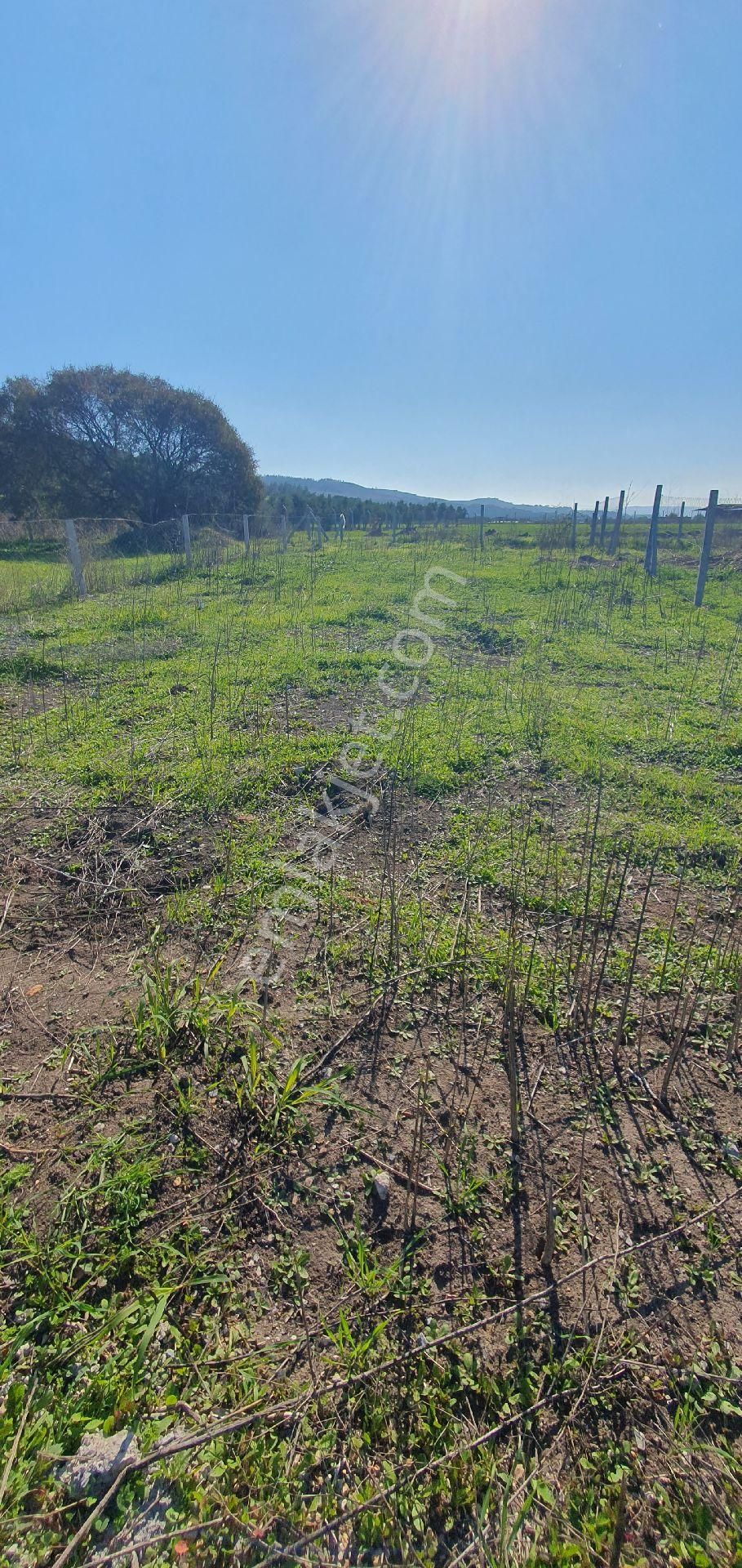 Sahibinden Satılıktır Arsa - Görsel 27