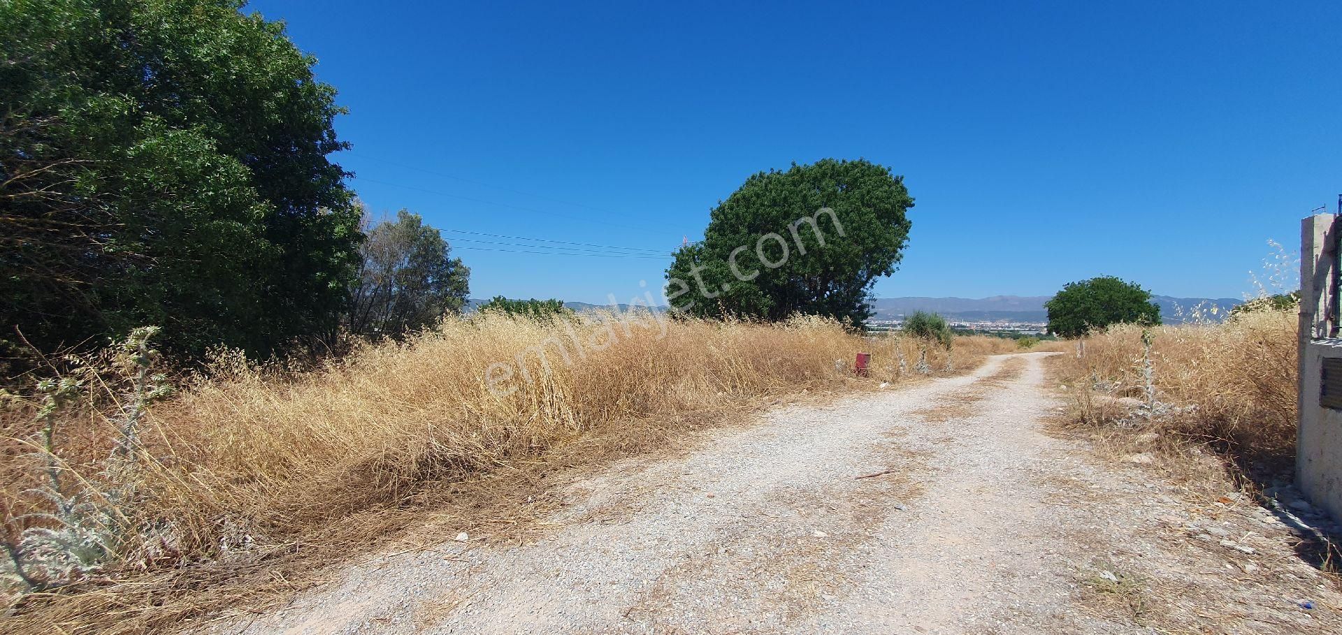 Sahibinden Satılıktır Arsa - Görsel 13