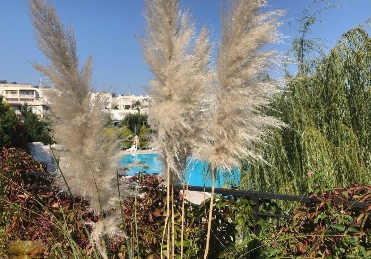 İngilizden Acil Bakımlı Ev Full Manzara Kumsala Yakın Daire - Görsel 17