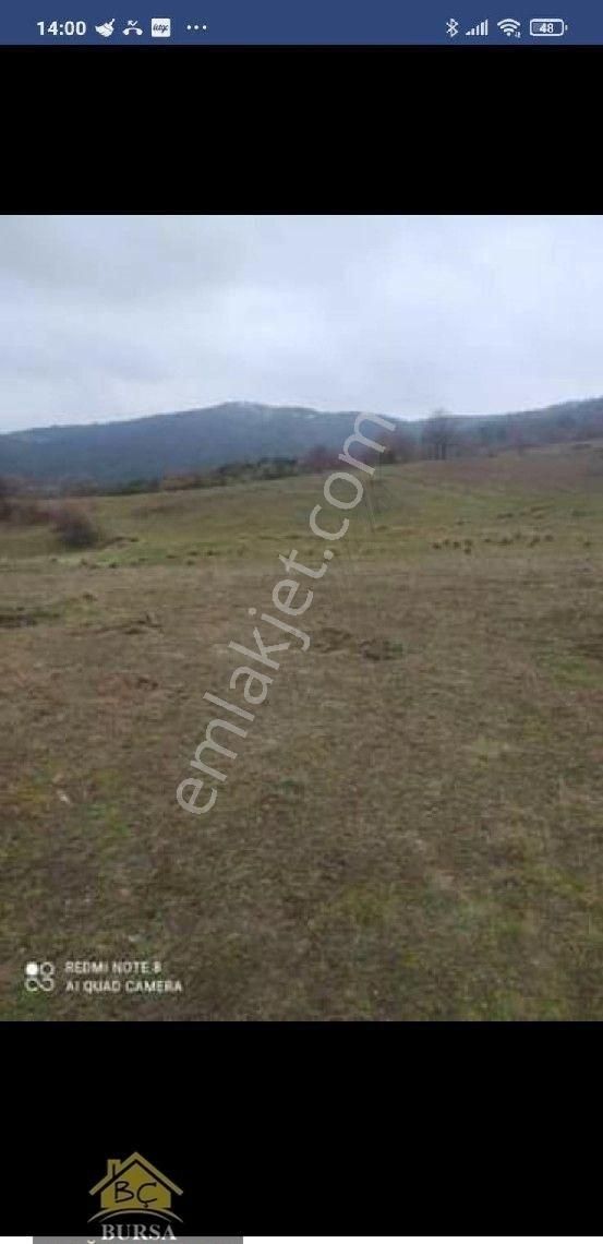 Bursa Kestel Ağlaşan Köyün De 8800 M2 Arazi - Görsel 5