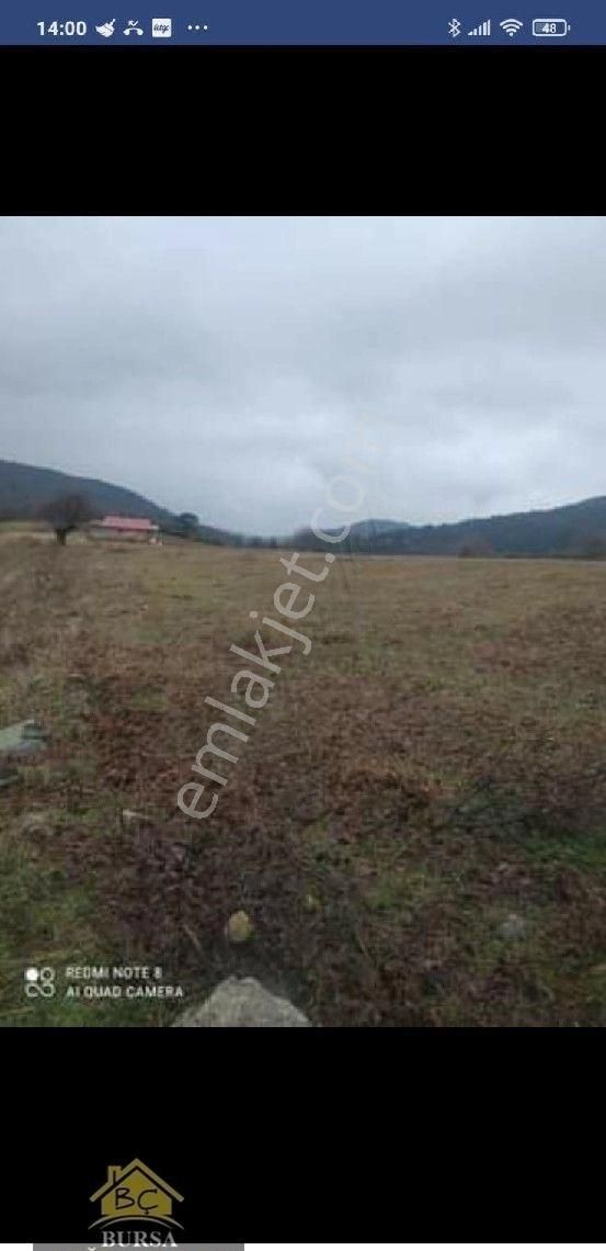 Bursa Kestel Ağlaşan Köyün De 8800 M2 Arazi - Görsel 3