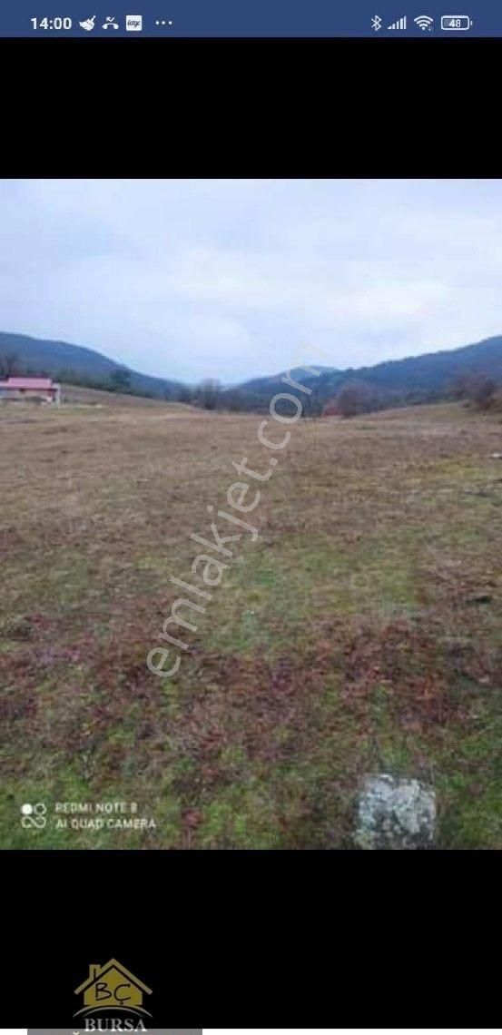 Bursa Kestel Ağlaşan Köyün De 8800 M2 Arazi