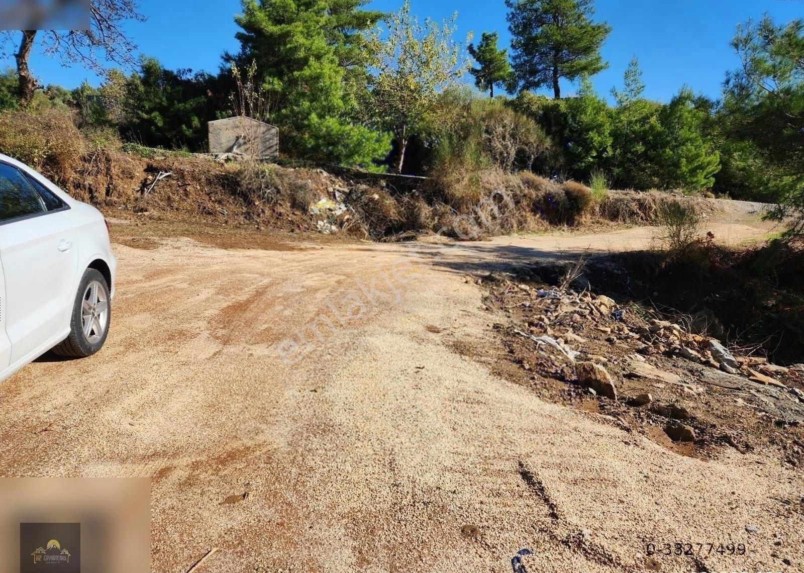 Kuşadası Çınar Köy 4600 M2 Satılık Zeytinlik - Görsel 2