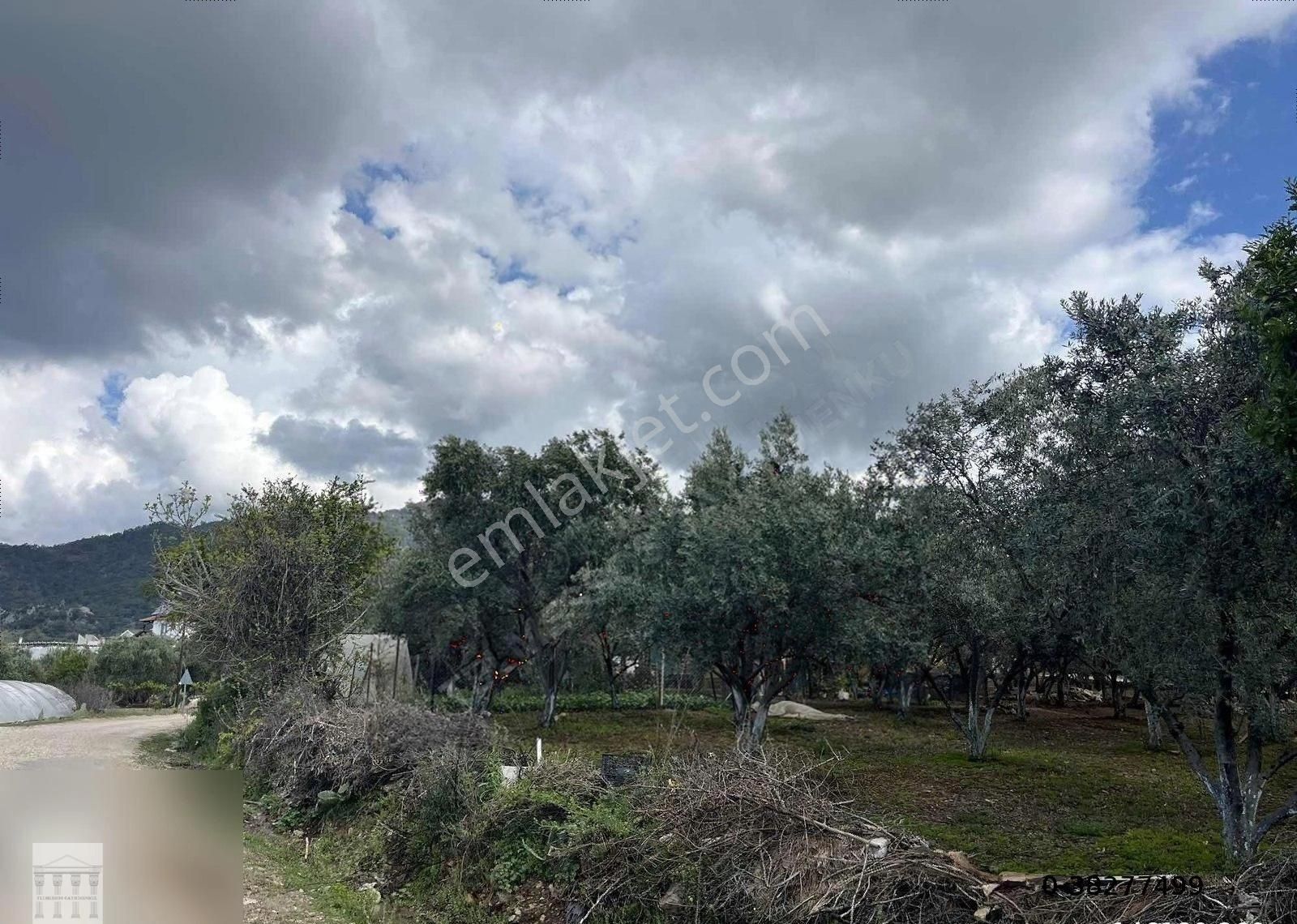 Eldirek Mahallesi Mükemmel Konumda Satılık 400m2 Tarla