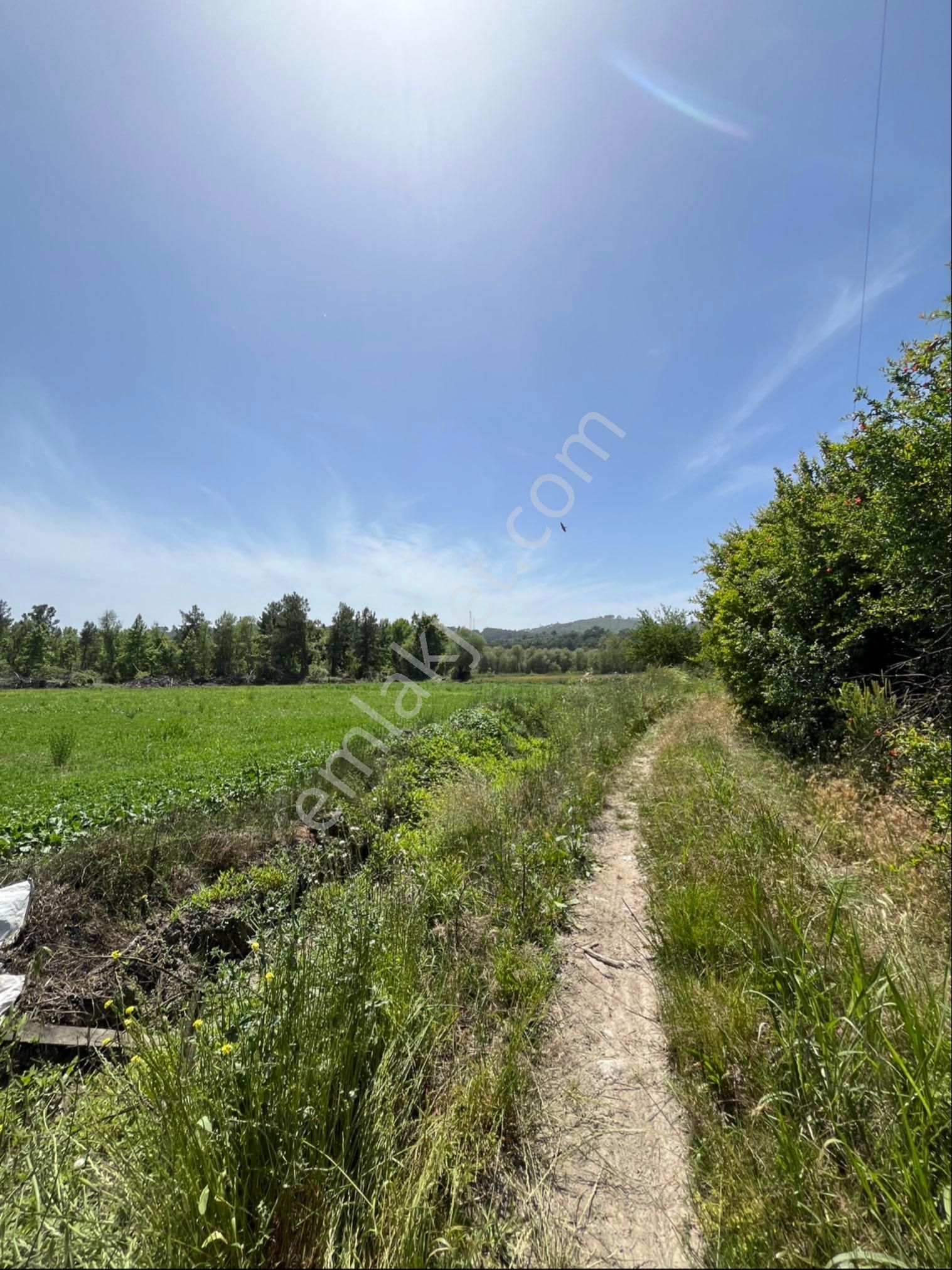 Seydikemer Sahil Ceylanda 16.300m2 Satılık Tarla
