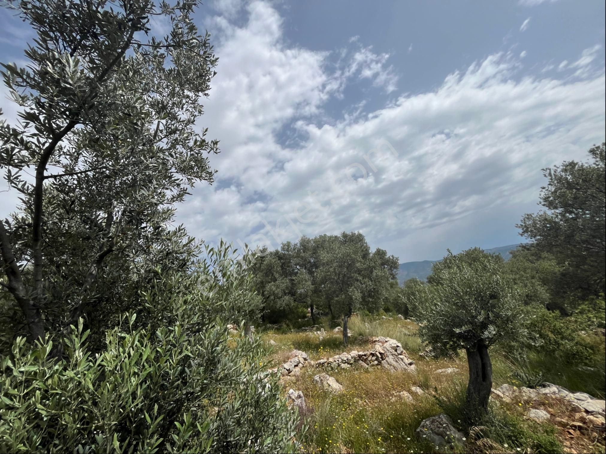 Esenköyde 942m2 Satılık Tarla