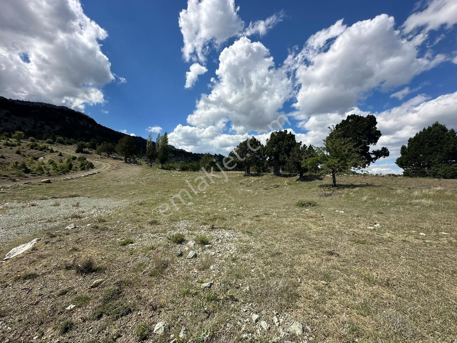 Yayla Gökbende 4227m2 Satılık Fırsat Tarla