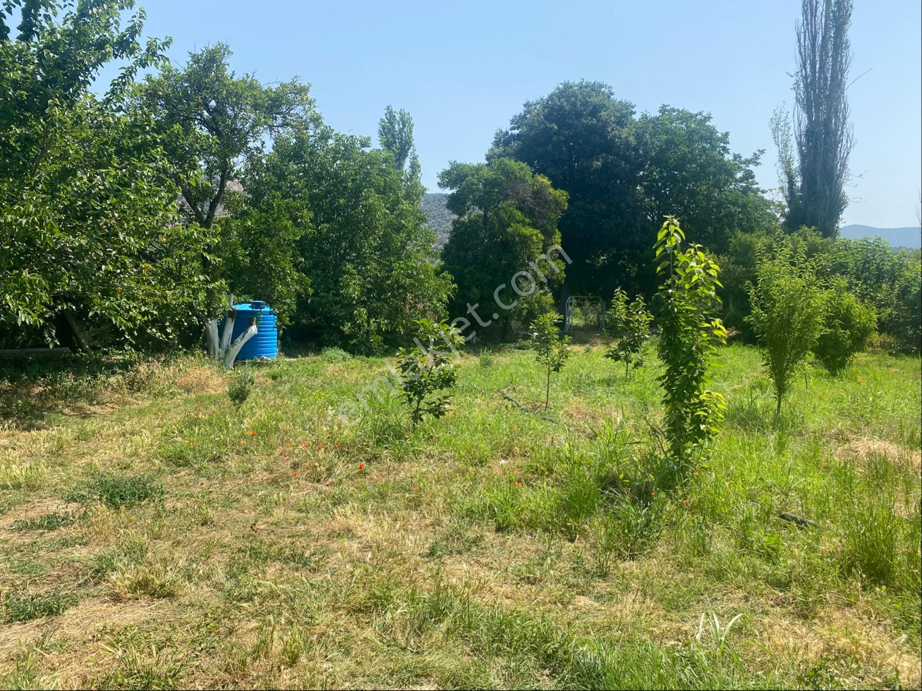İzmir Bayındır Zeytinova Mh Satılık Bahçe - Görsel 5