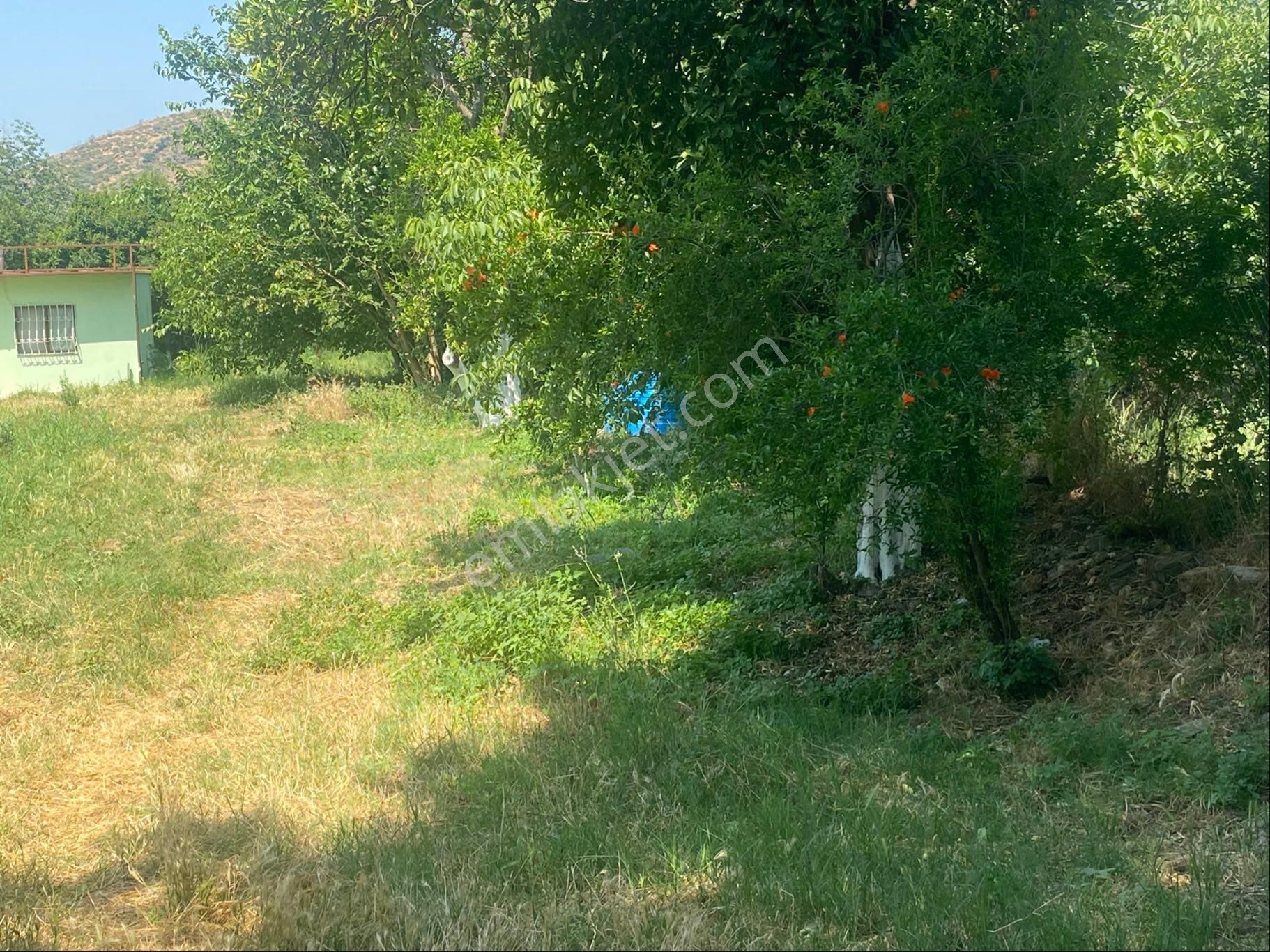 İzmir Bayındır Zeytinova Mh Satılık Bahçe - Görsel 20