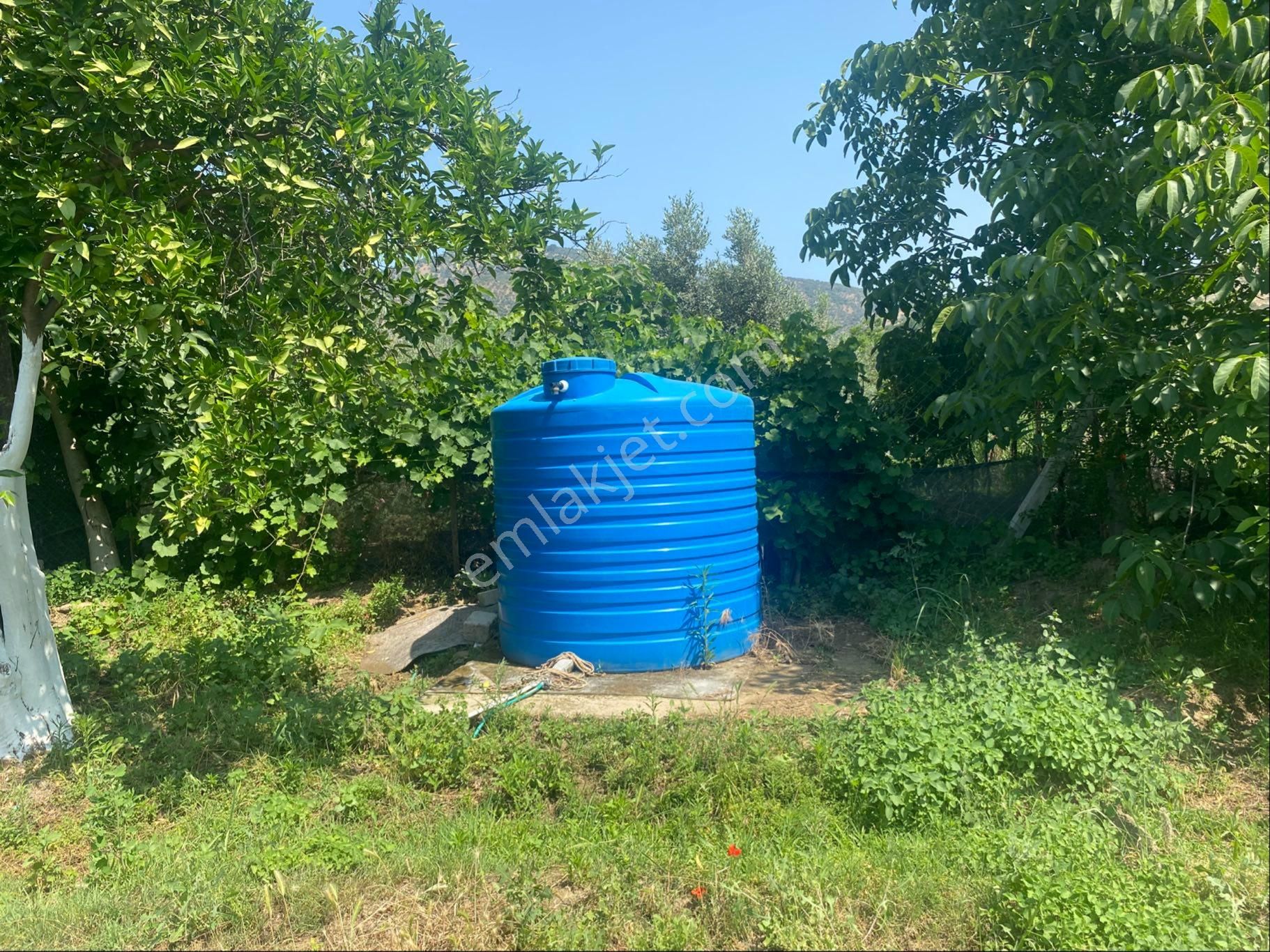 İzmir Bayındır Zeytinova Mh Satılık Bahçe - Görsel 4