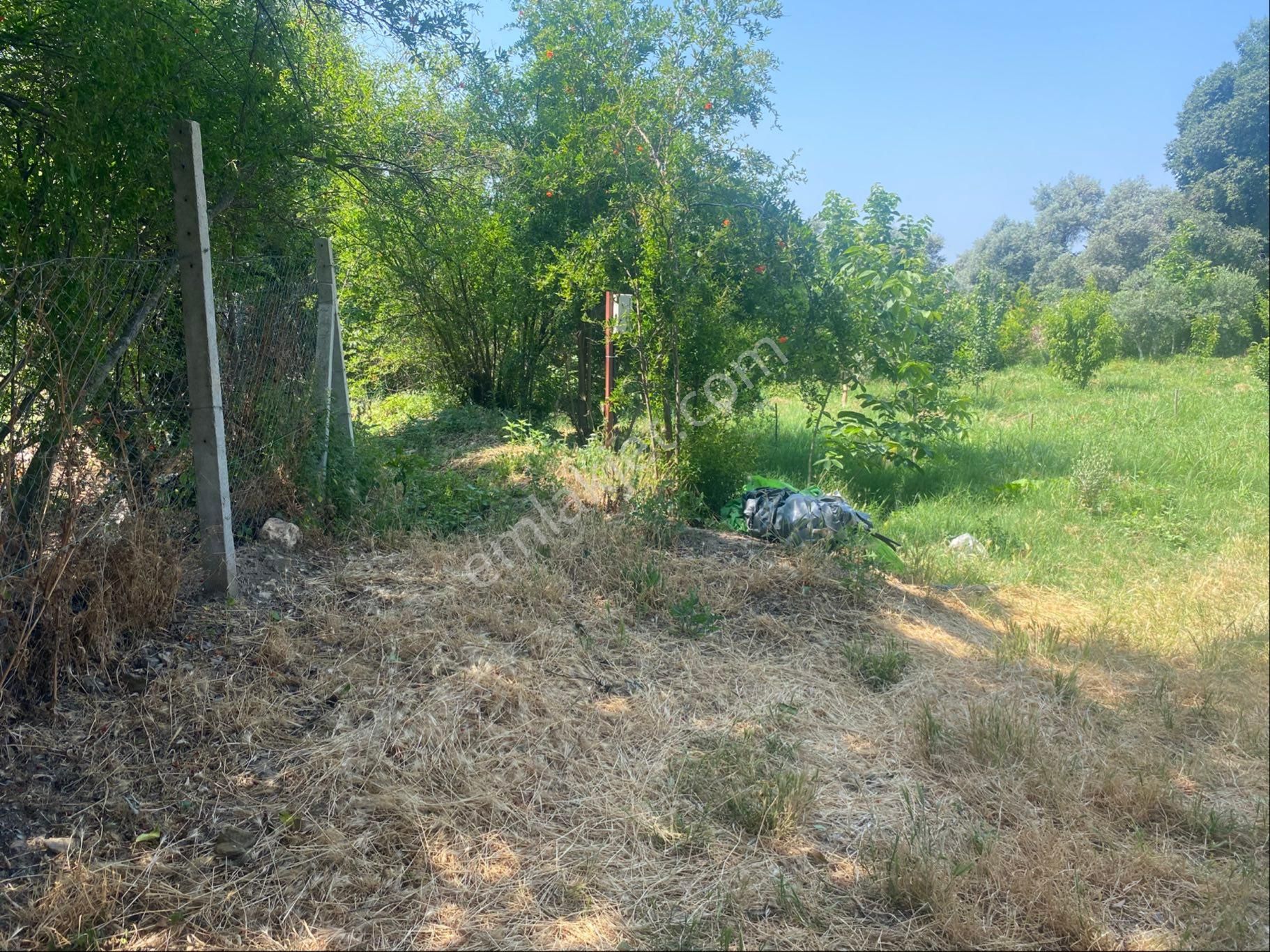 İzmir Bayındır Zeytinova Mh Satılık Bahçe - Görsel 3