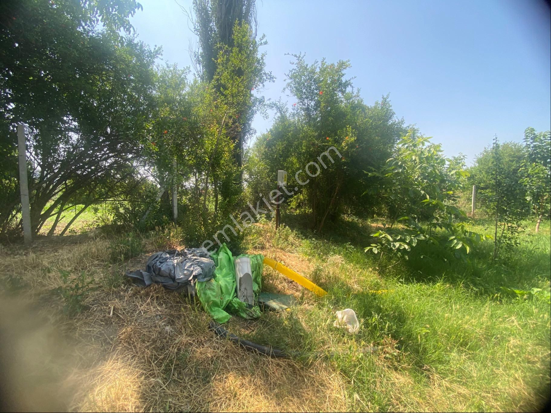 İzmir Bayındır Zeytinova Mh Satılık Bahçe - Görsel 16