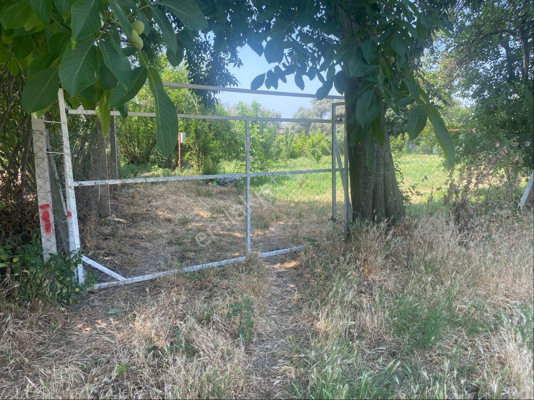 İzmir Bayındır Zeytinova Mh Satılık Bahçe - Görsel 19