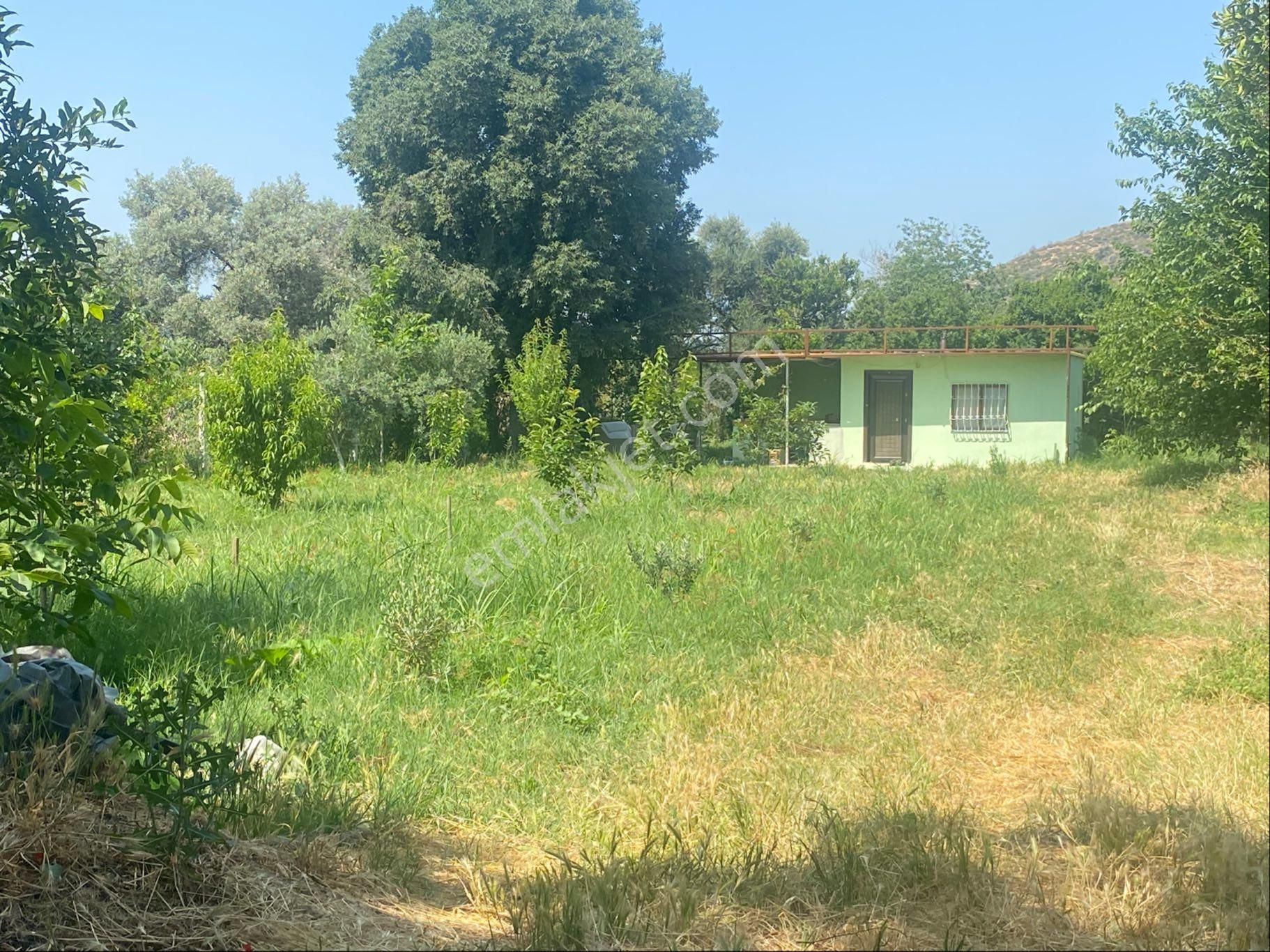 İzmir Bayındır Zeytinova Mh Satılık Bahçe - Görsel 18