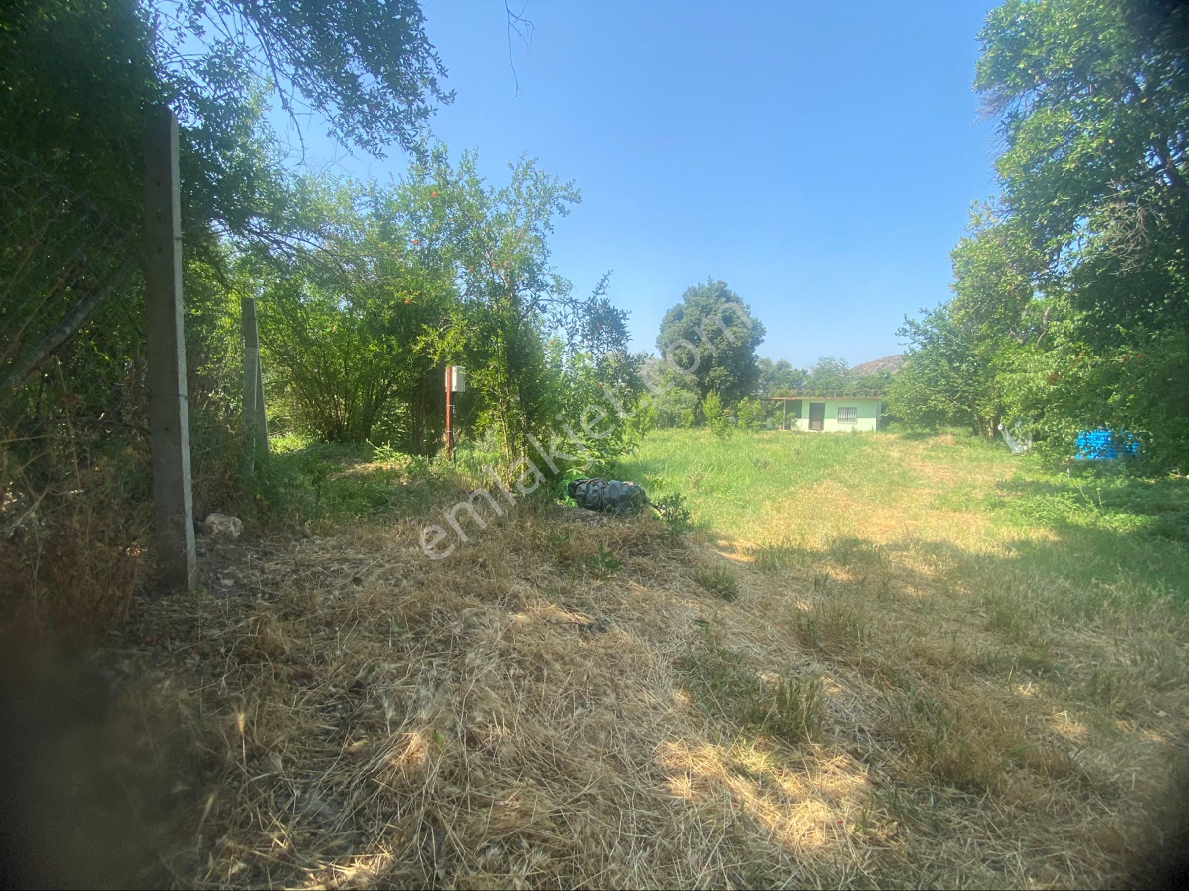 İzmir Bayındır Zeytinova Mh Satılık Bahçe - Görsel 27