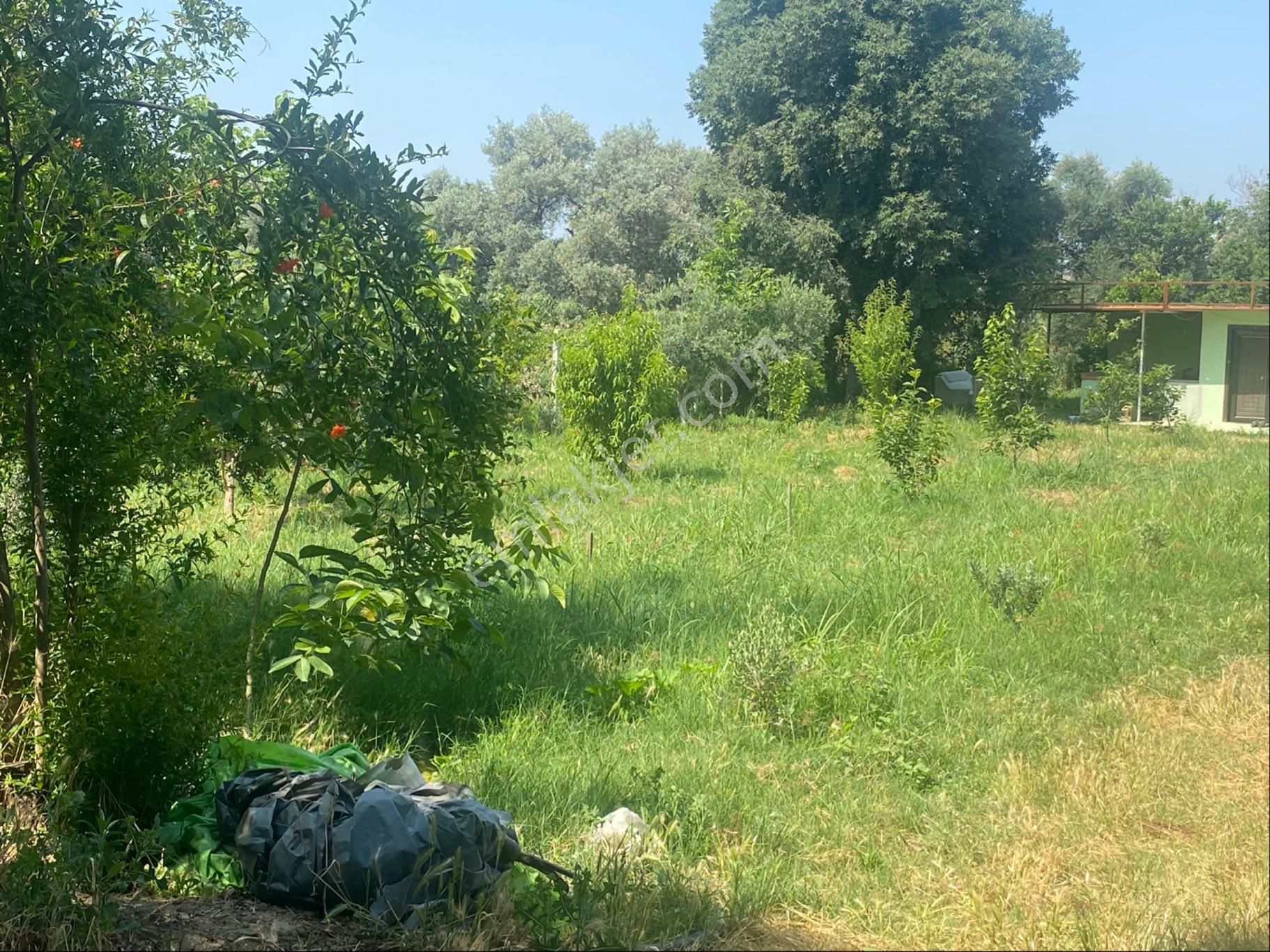 İzmir Bayındır Zeytinova Mh Satılık Bahçe - Görsel 17