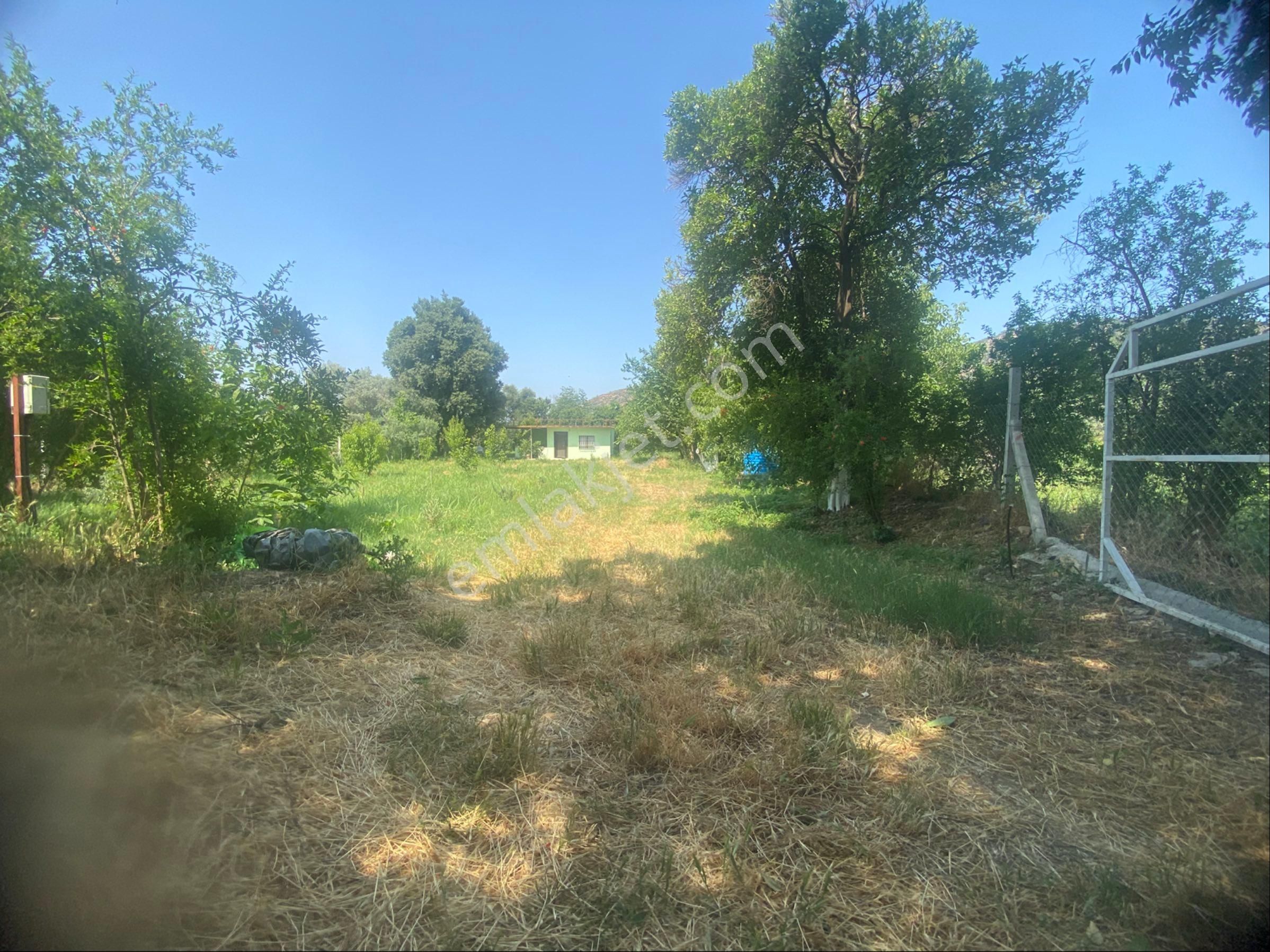 İzmir Bayındır Zeytinova Mh Satılık Bahçe - Görsel 24