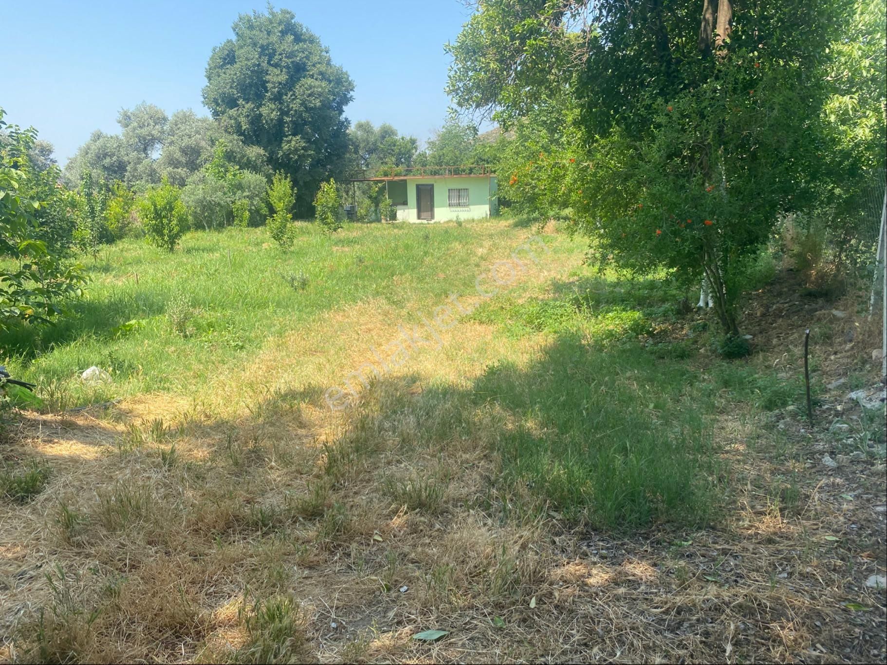 İzmir Bayındır Zeytinova Mh Satılık Bahçe - Görsel 2