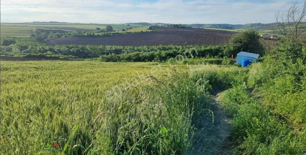 Ege Gayrimenkulden Büyükkılıçlıda 250 M2 Tarla