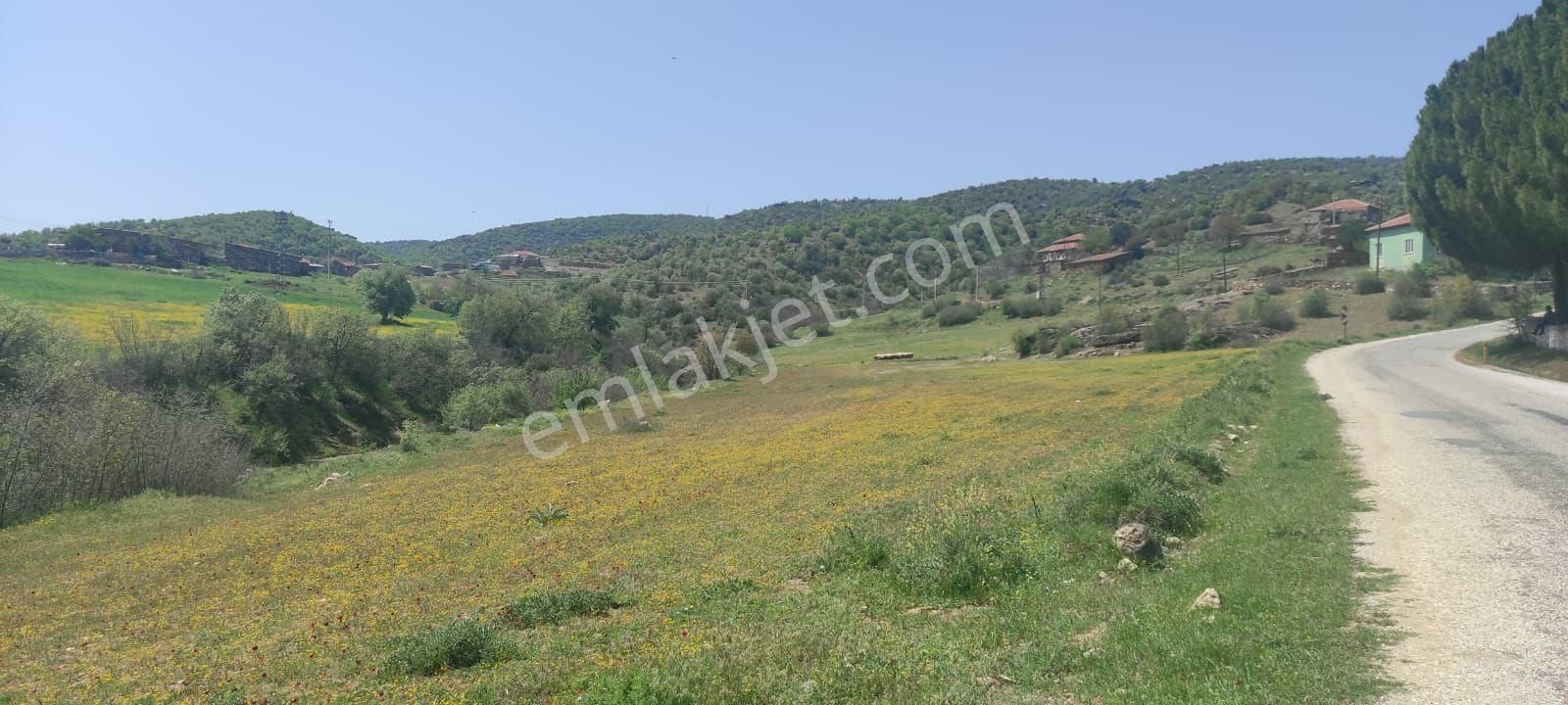 Manisa Kula Aktas Koyunde Yatirimlik Cok Guzel Tarla