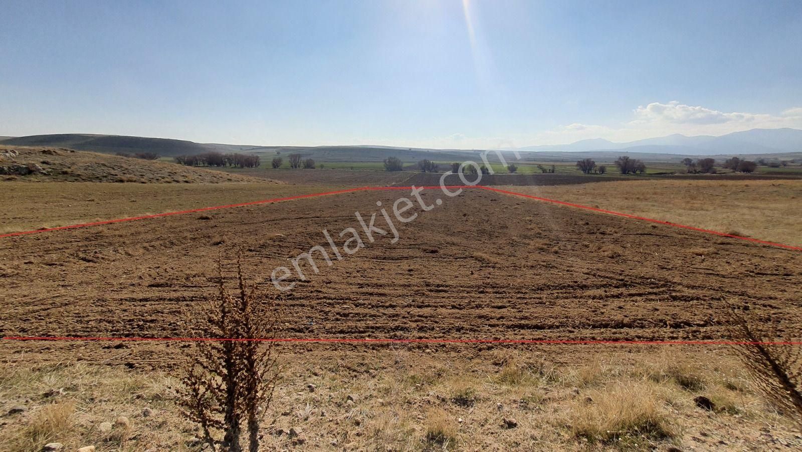 Karaca'dan Meram Çatören'de Müstakil 2.695 M2 Yatırımlık Tarla
